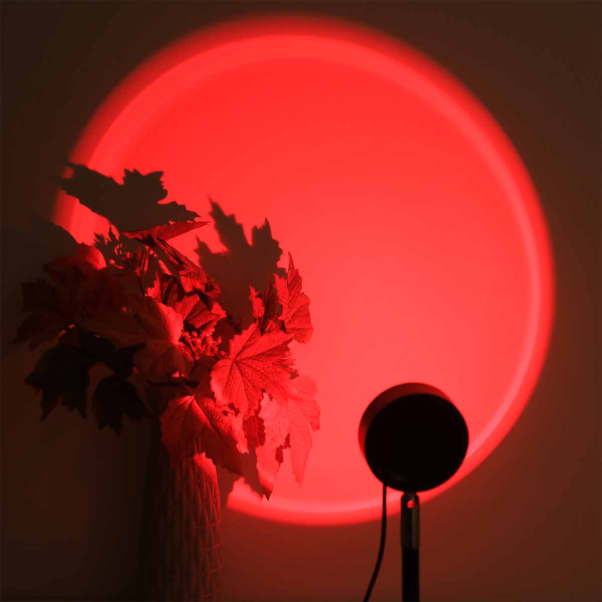 일몰 프로젝션 조명 리모컨 16색 무드등, 침실 장식  - Photography Lighting Wall 리뷰 및 가격